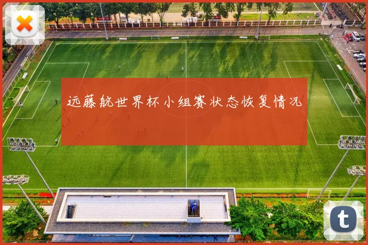 远藤航世界杯小组赛状态恢复情况