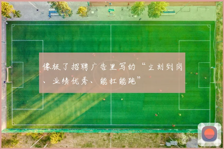 像极了招聘广告里写的“立刻到岗、业绩优秀、能扛能跑”