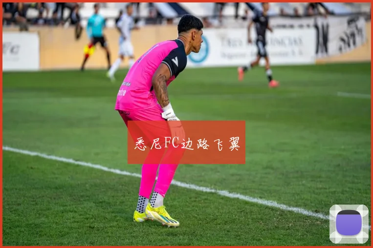 悉尼FC边路飞翼