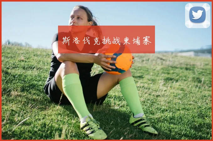 斯洛伐克挑战柬埔寨