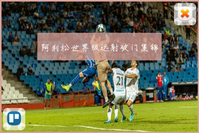 阿利松世界级远射破门集锦