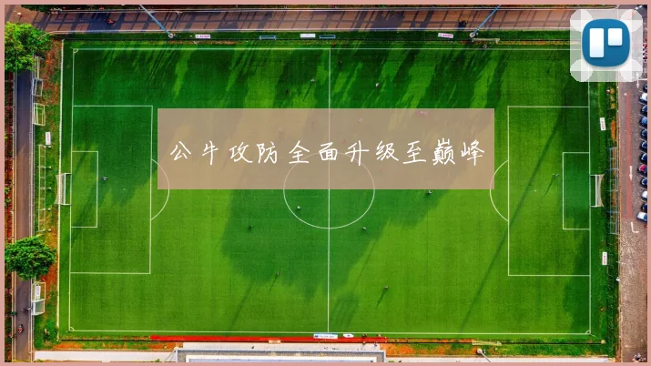 公牛攻防全面升级至巅峰