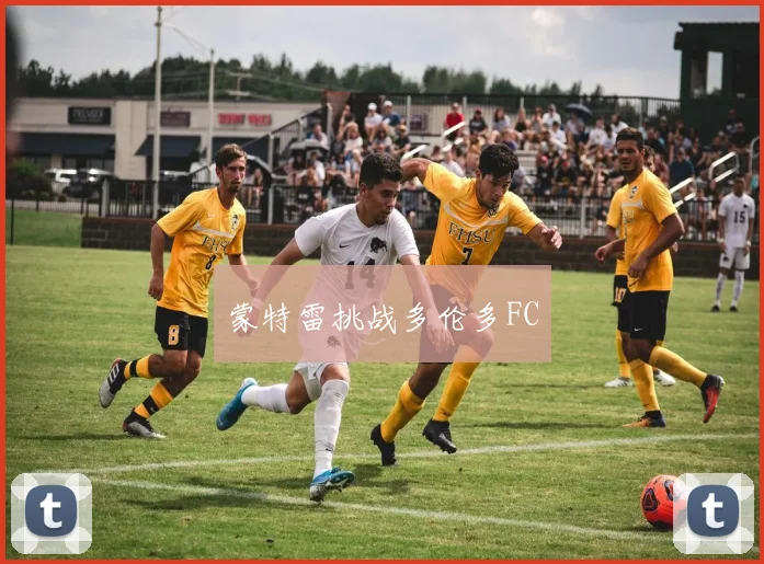 蒙特雷挑战多伦多FC