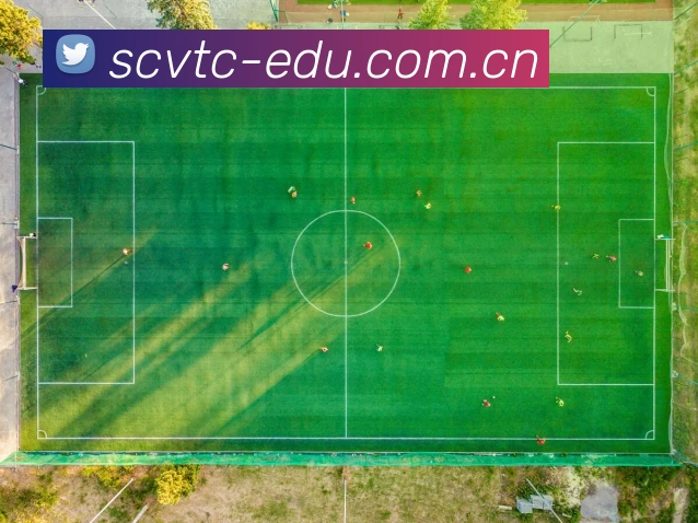 九游体育 - JIUYOUSPORTS中国官方网站发展历程