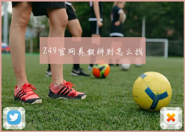 Z49官网真假辨别怎么找