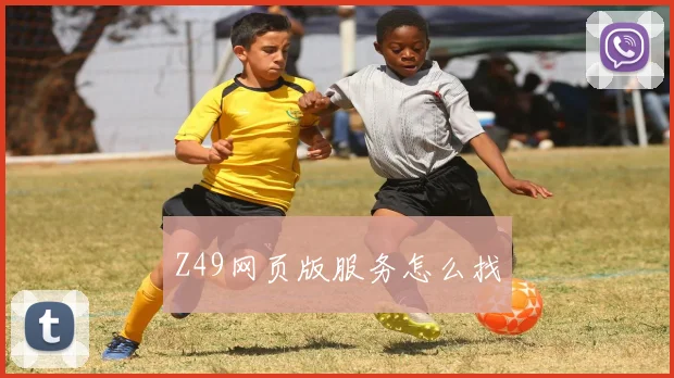 Z49网页版服务怎么找